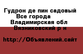 Гудрон де пин садовый - Все города  »    . Владимирская обл.,Вязниковский р-н